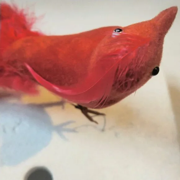 Red Feathered Bird of Paradise Figure Ornament Craft Pick Lot 2 - Picture 5 of 7